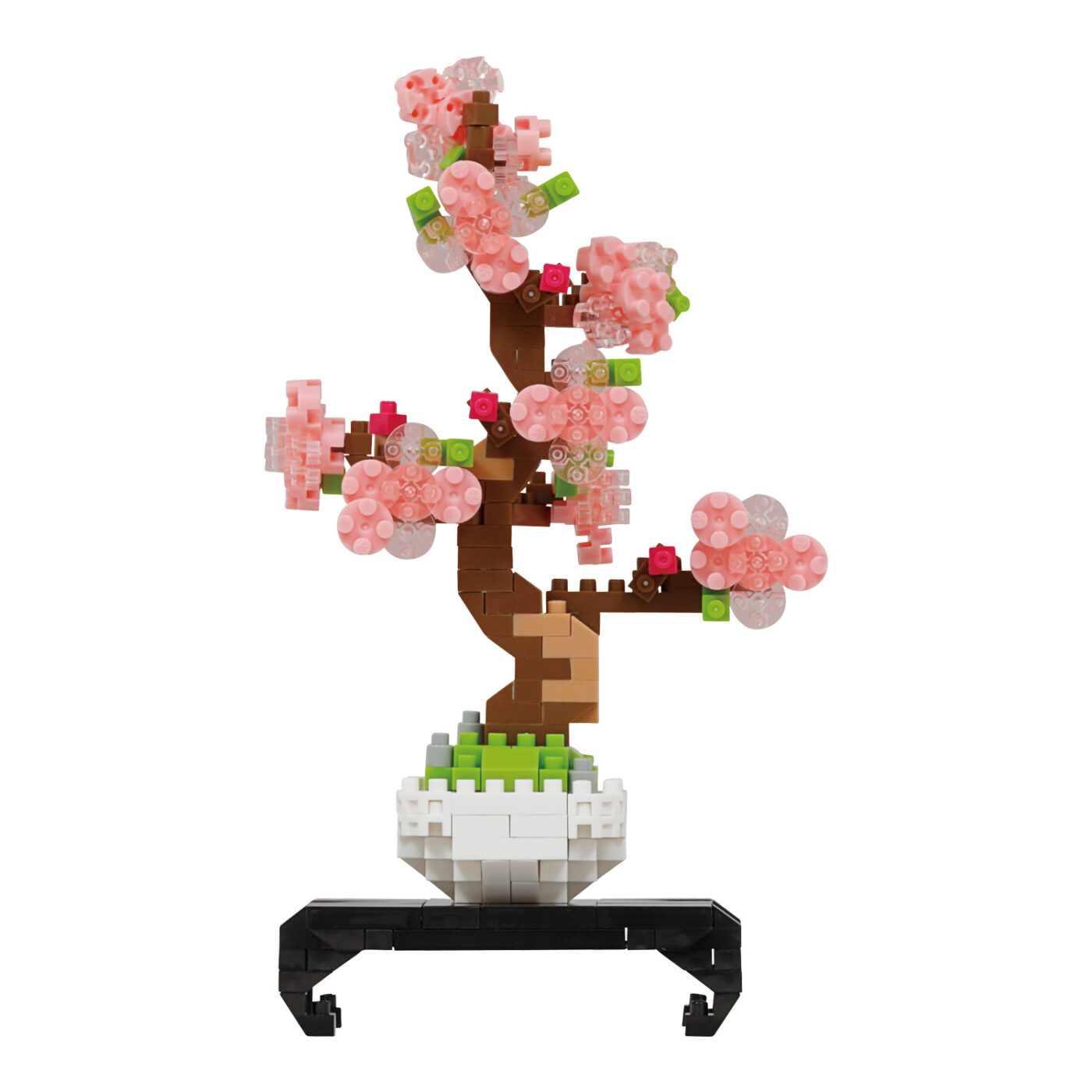 盆栽 桜の商品画像2