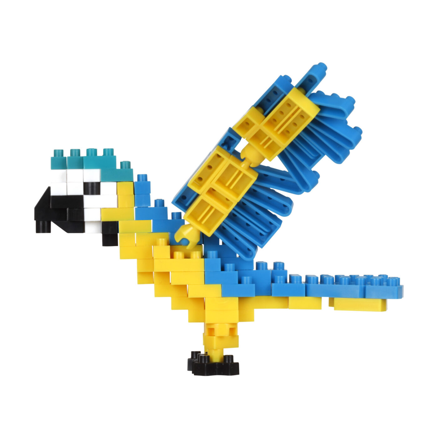 Product image of ルリコンゴウインコ3