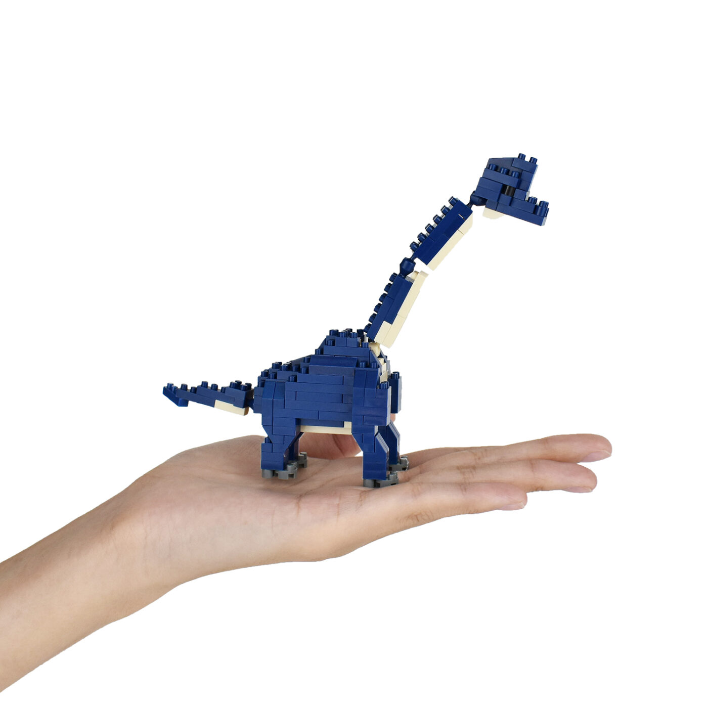 Product image of BRACHIOSAURUS3