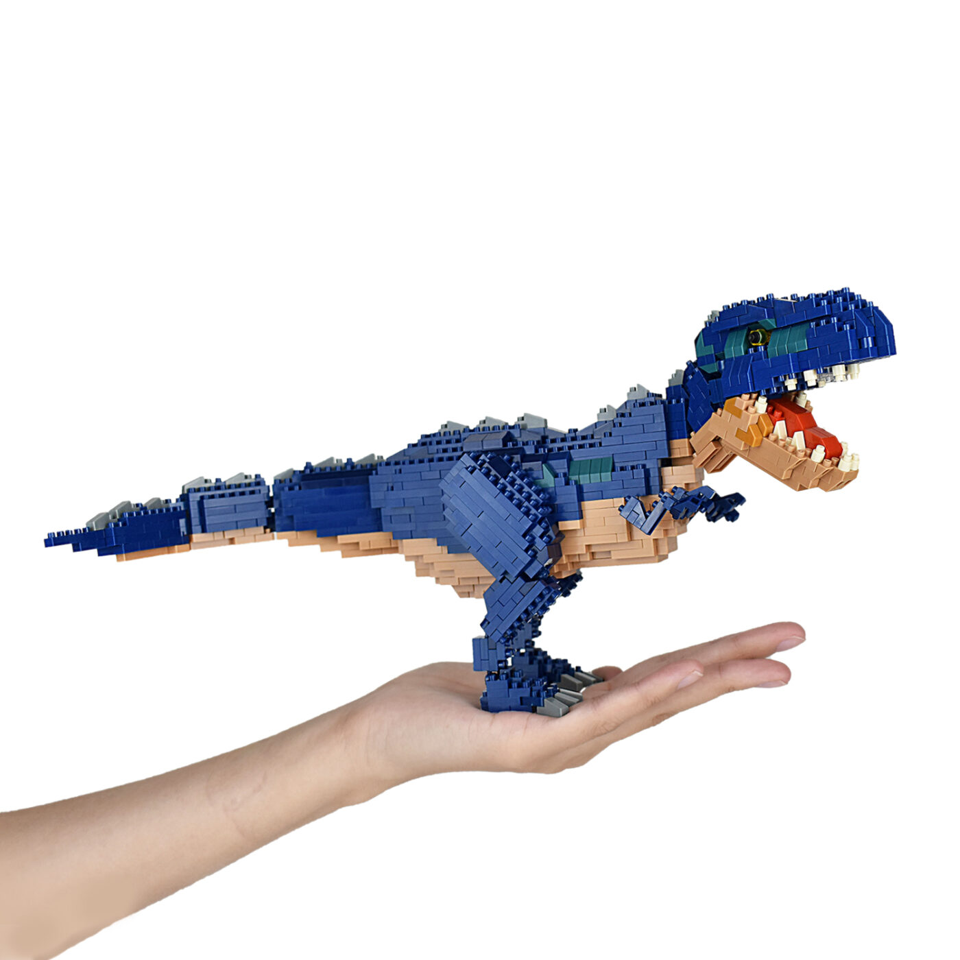 Product image of Dinosaur Deluxe Edition GIGANOTOSAURUS3