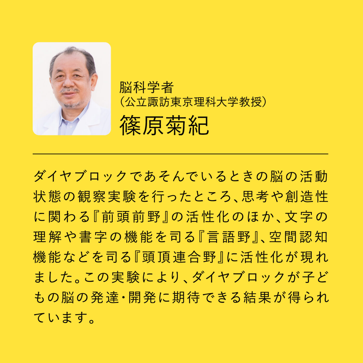 ダイヤブロック KIHONIRO(キホンイロ) Lの商品画像9