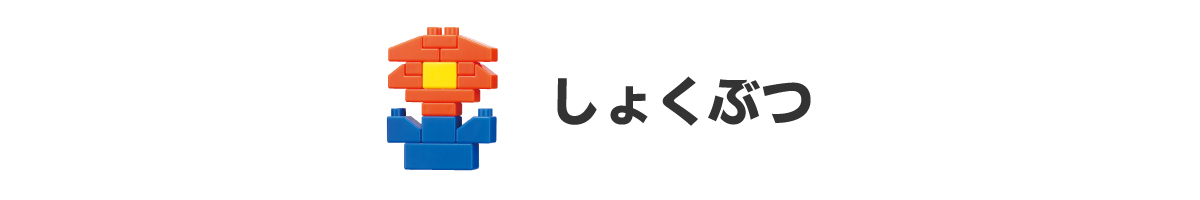 しょくぶつ