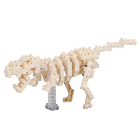 ティラノサウルス 骨格モデルの商品画像1