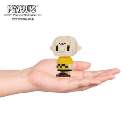 Product image of CHARLIE BROWN WITH SNOOPY4