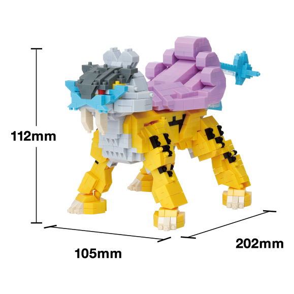 ポケットモンスター ライコウ デラックスエディションの商品画像5