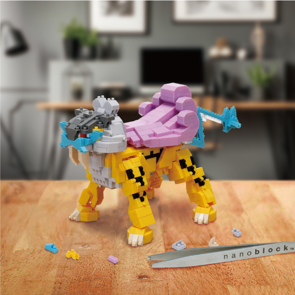 ポケットモンスター ライコウ デラックスエディションの商品画像9
