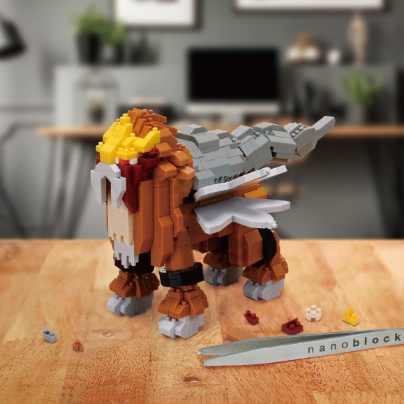 ポケットモンスター エンテイ デラックスエディションの商品画像9