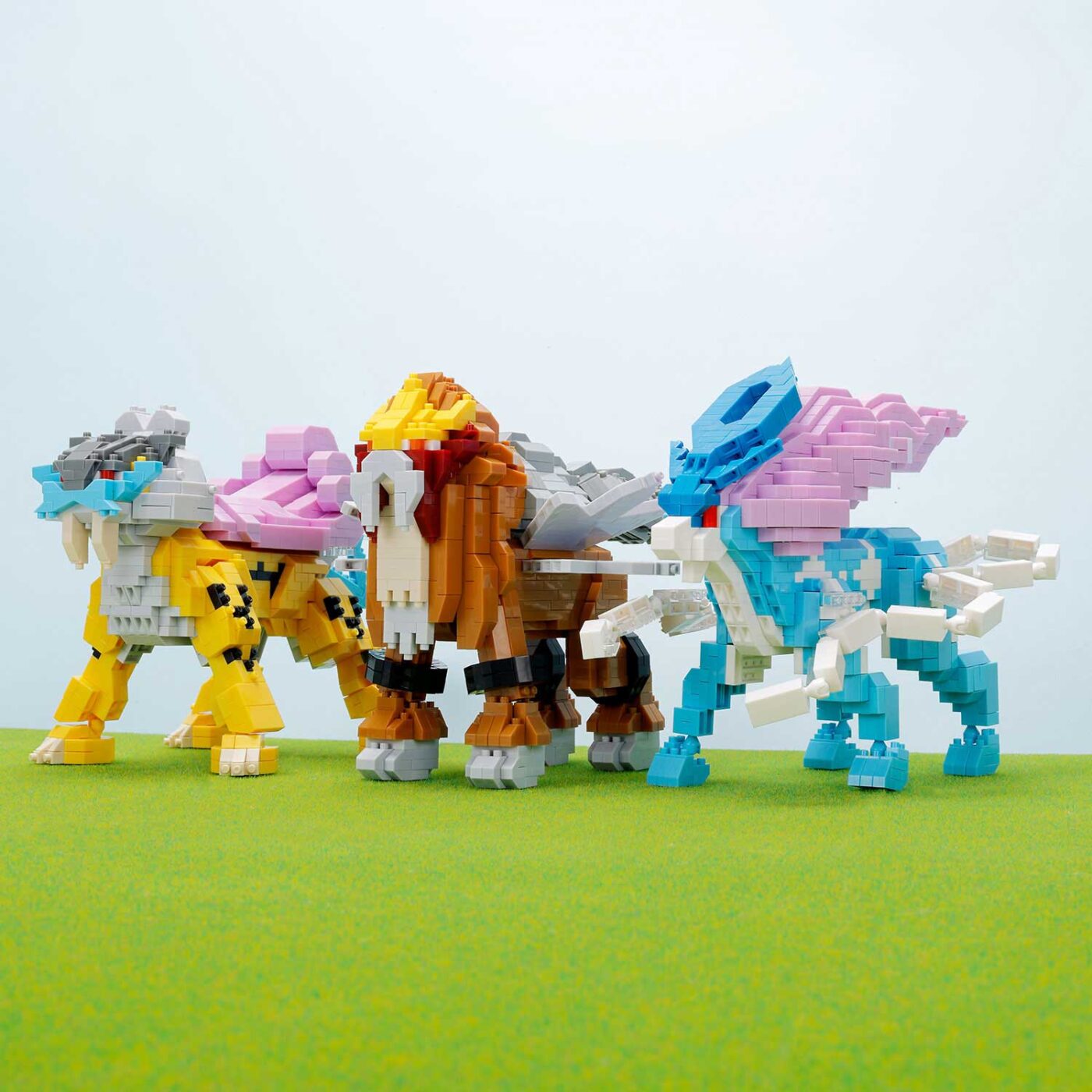 ポケットモンスター エンテイ デラックスエディションの商品画像10