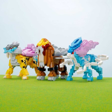 ポケットモンスター エンテイ デラックスエディションの商品画像10