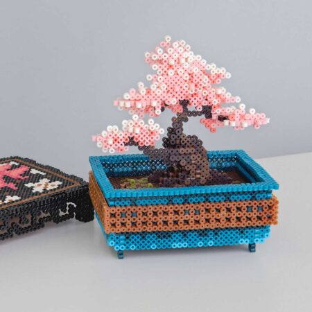 盆栽（桜）の商品画像7