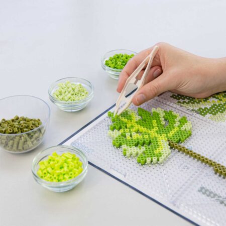 モンステラの商品画像3