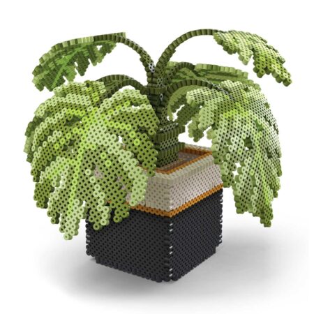 モンステラの商品画像1