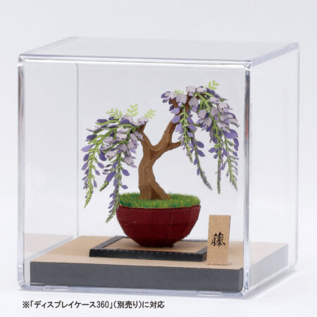 盆栽 藤の商品画像4