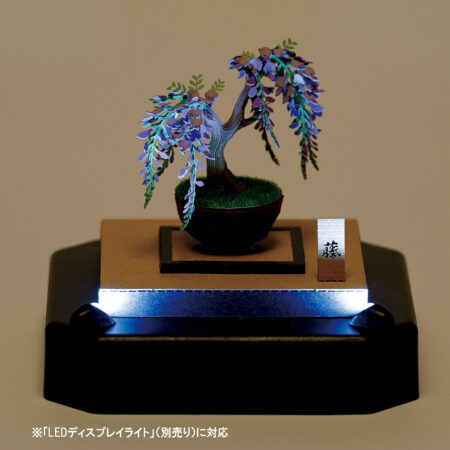 盆栽 藤の商品画像5