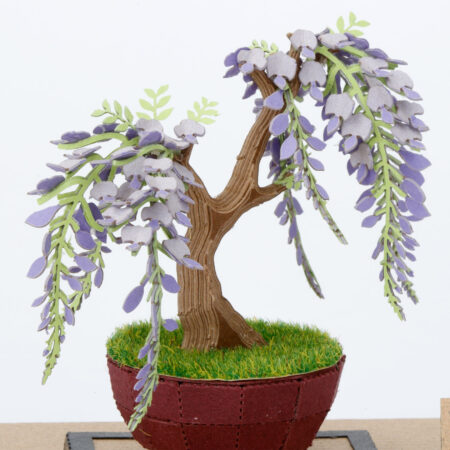 盆栽 藤の商品画像6
