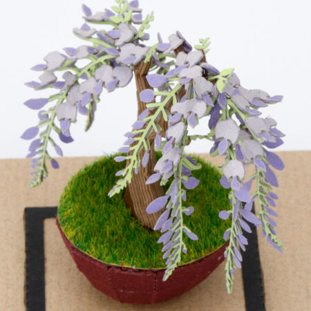 盆栽 藤の商品画像7