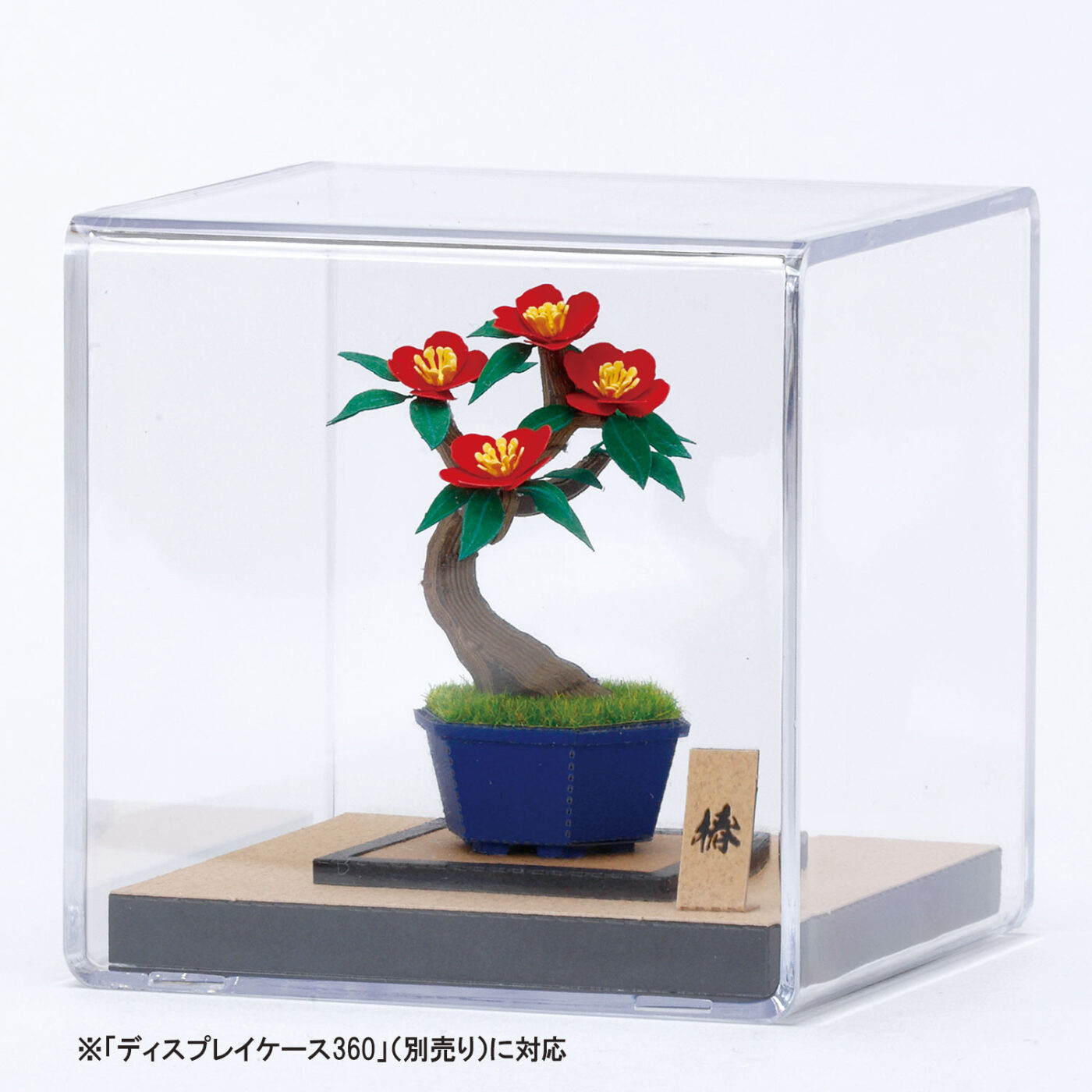 盆栽 椿の商品画像4