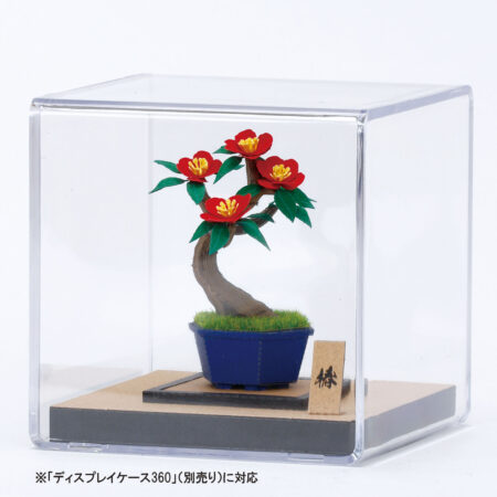 盆栽 椿の商品画像4