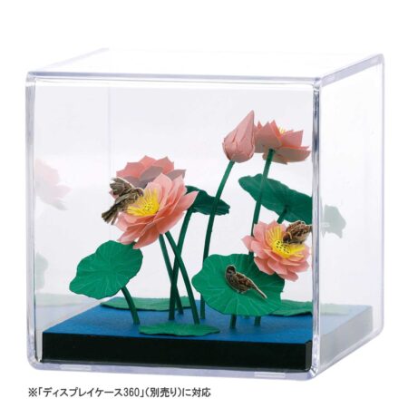雀と蓮の商品画像5