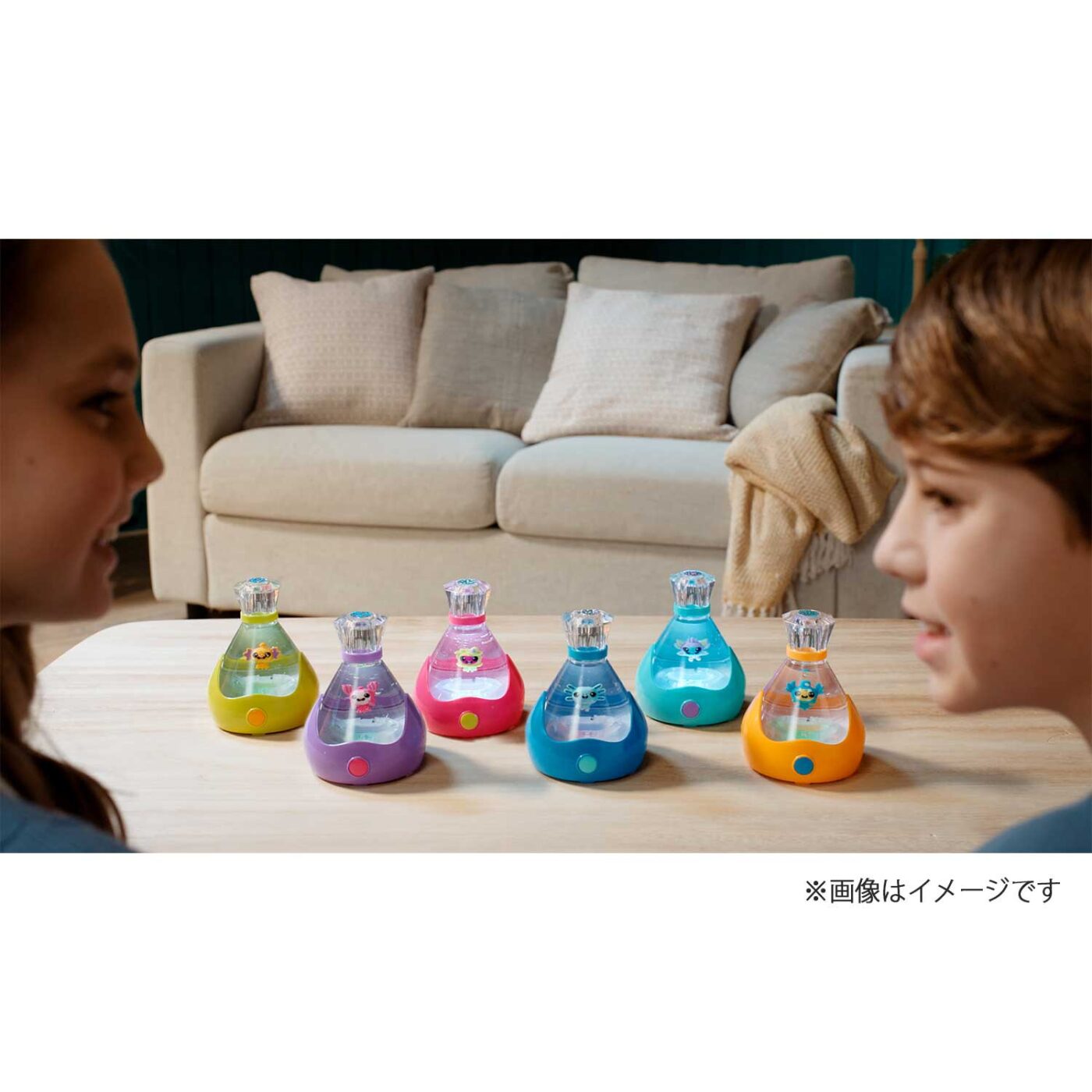 フィジーペッツ フィンの商品画像4