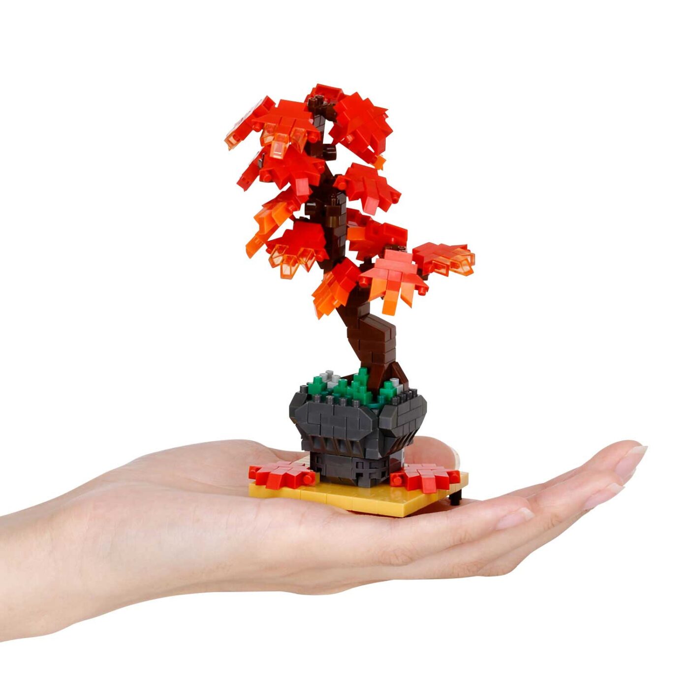 盆栽 紅葉の商品画像4