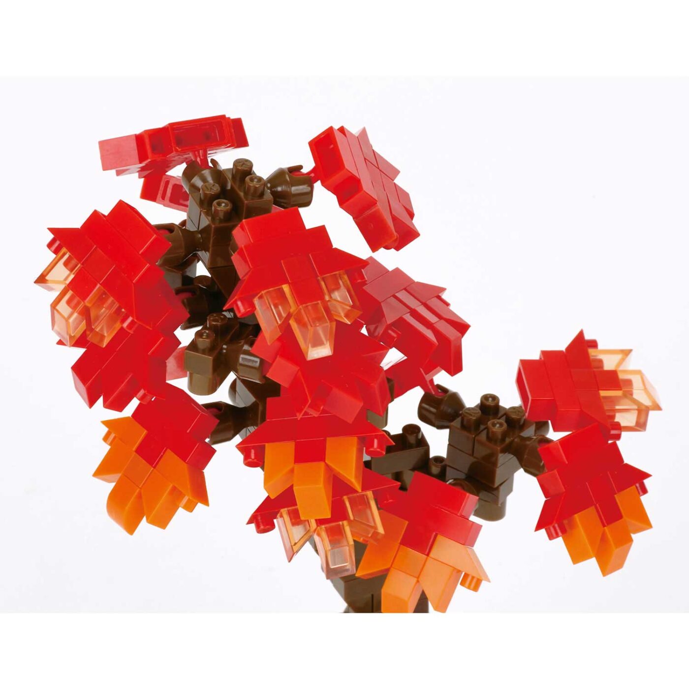 盆栽 紅葉の商品画像5