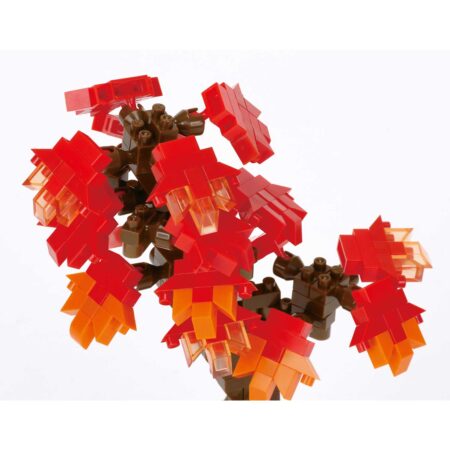 盆栽 紅葉の商品画像5