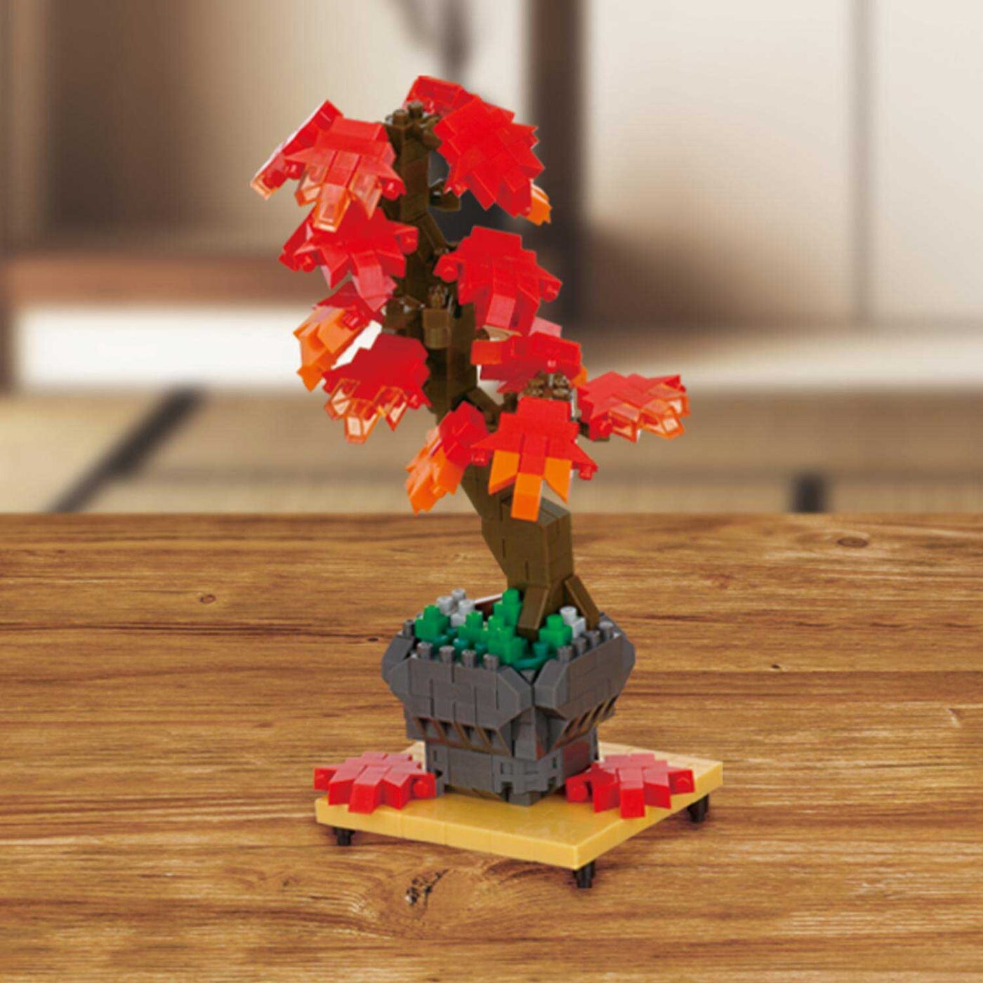 盆栽 紅葉の商品画像7