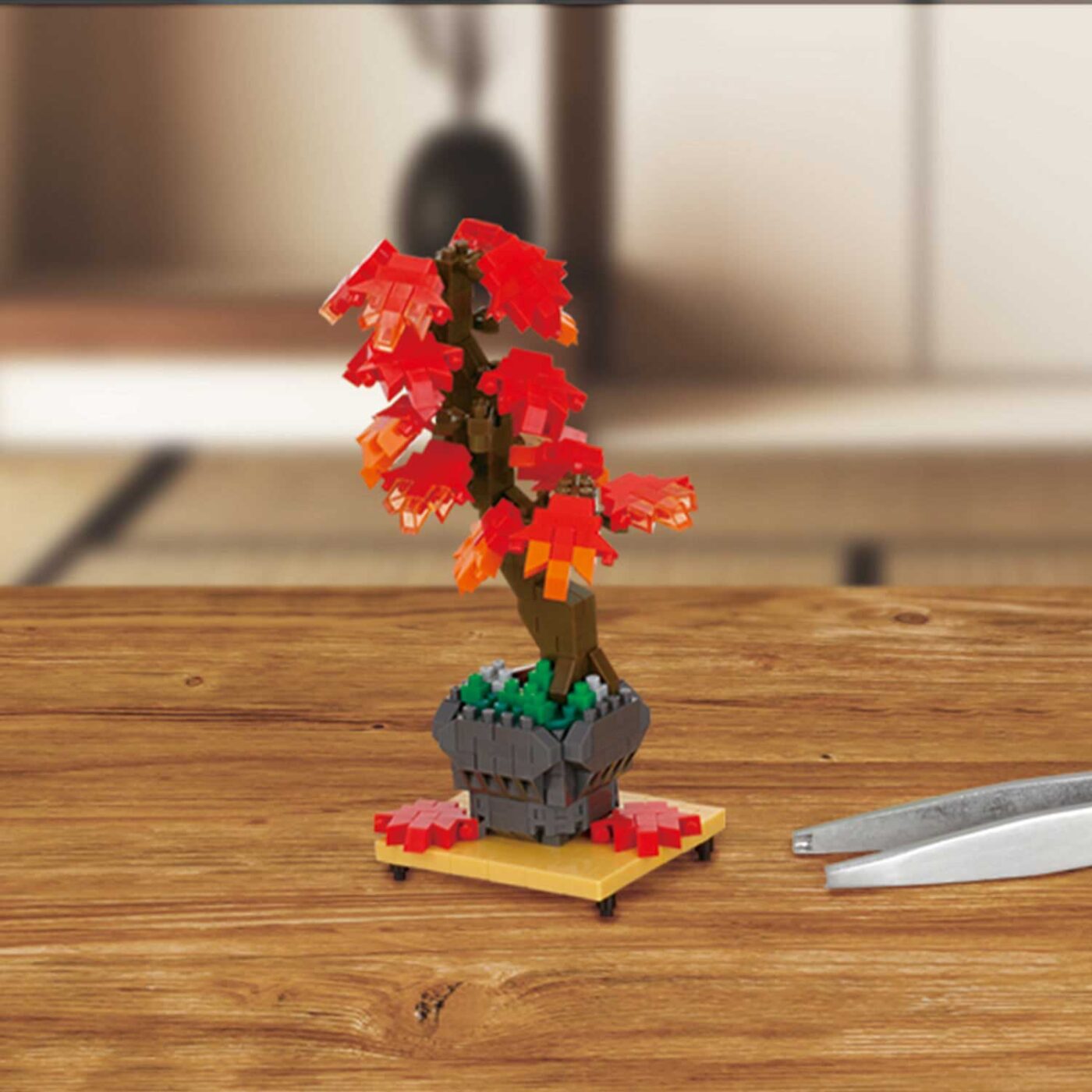 盆栽 紅葉の商品画像8