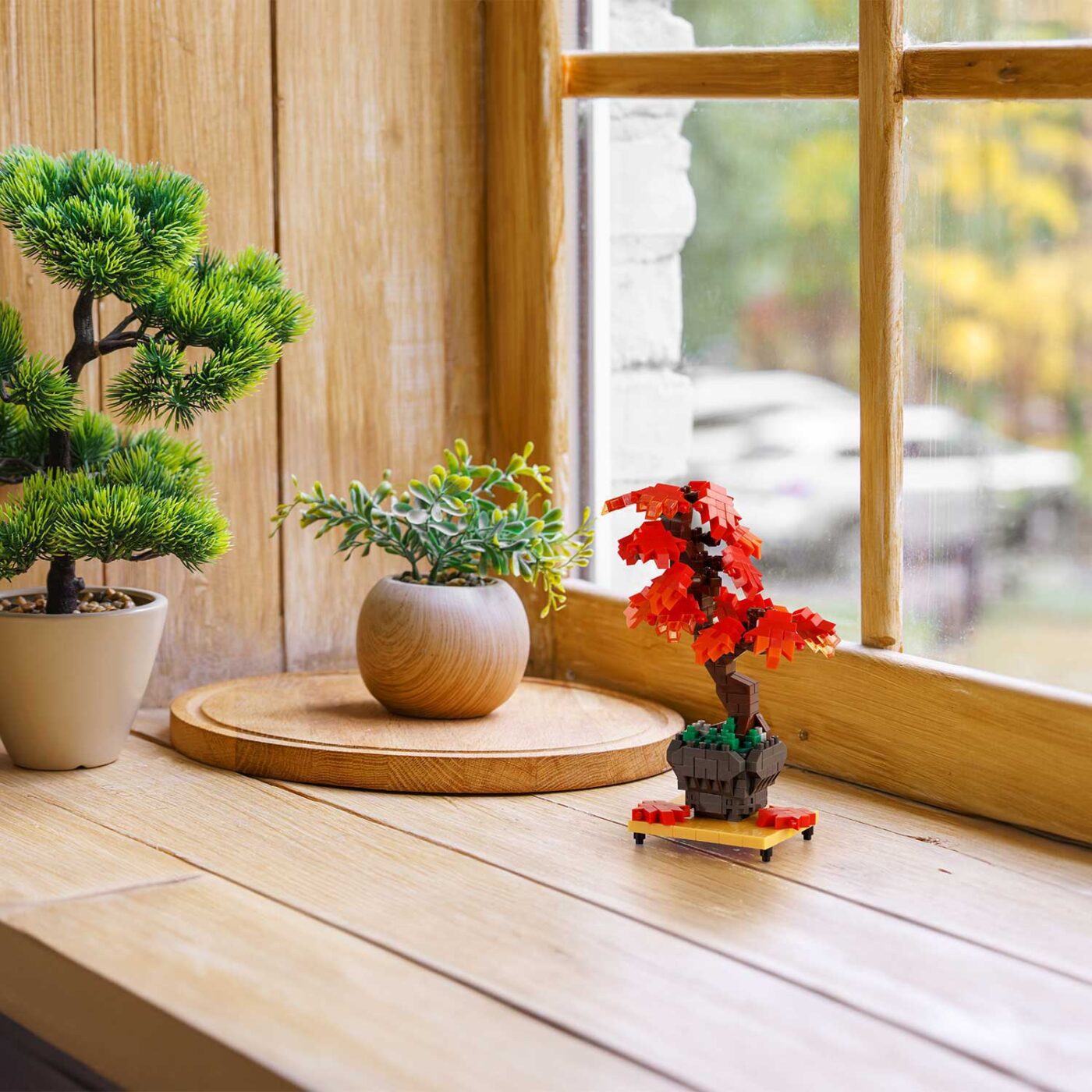 盆栽 紅葉の商品画像9