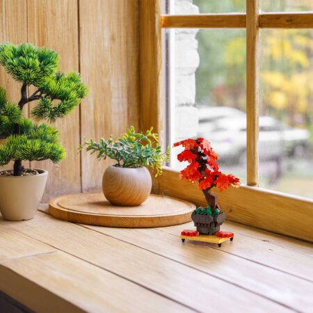 盆栽 紅葉の商品画像9